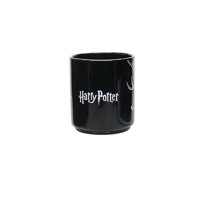 Harry Potter Series Ceramic Color-changing Mug